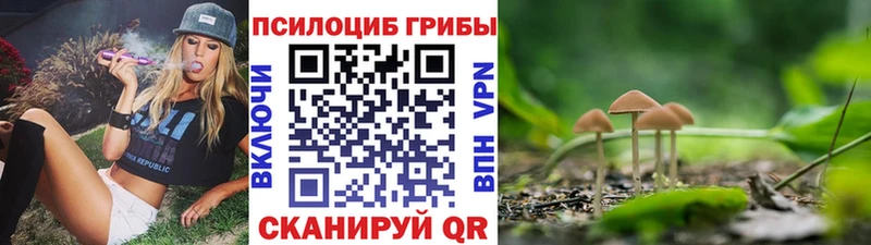 Галлюциногенные грибы Psilocybe  гидра ТОР  Елабуга 
